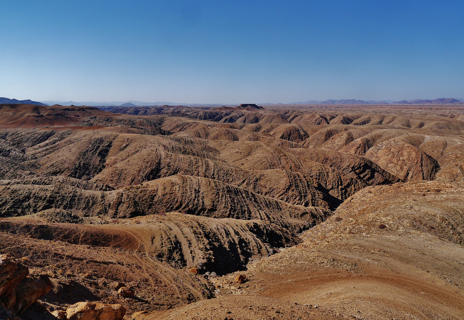 The Sheltering Desert cover