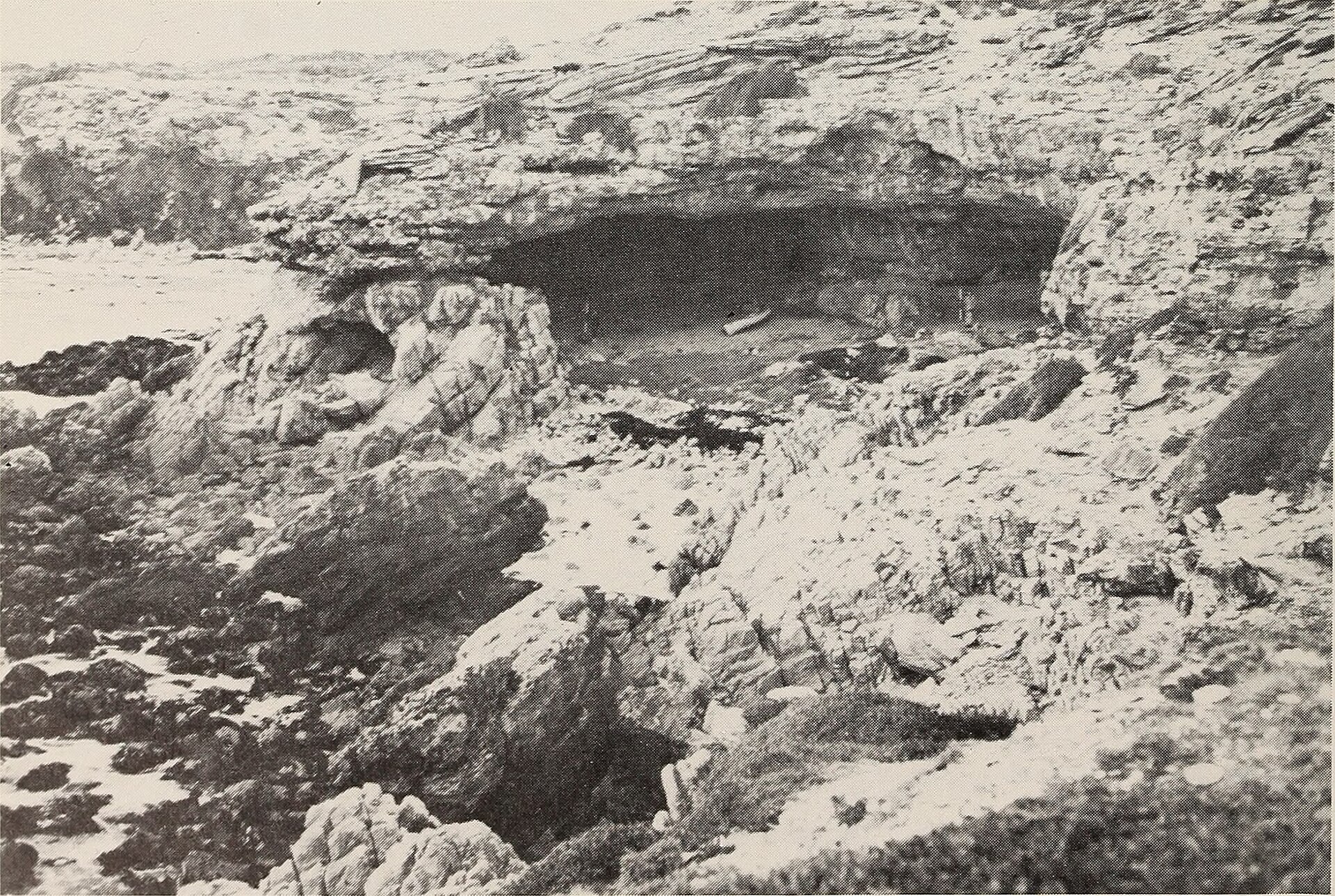 A shell midden in the dunes — the ordinary heap beneath which fiction placed its find.