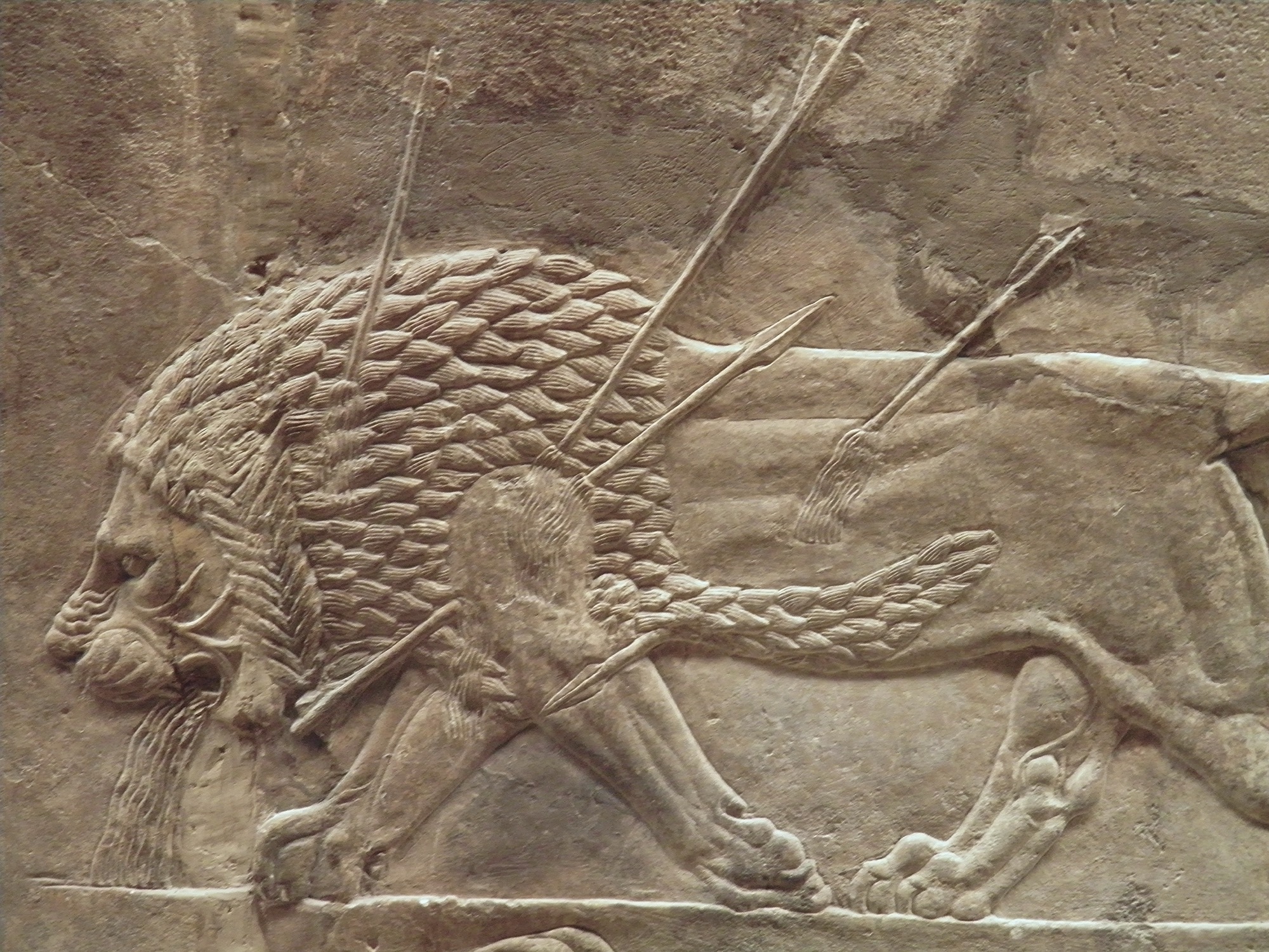 Dying lion from the Lion Hunt of Ashurbanipal reliefs, British Museum
