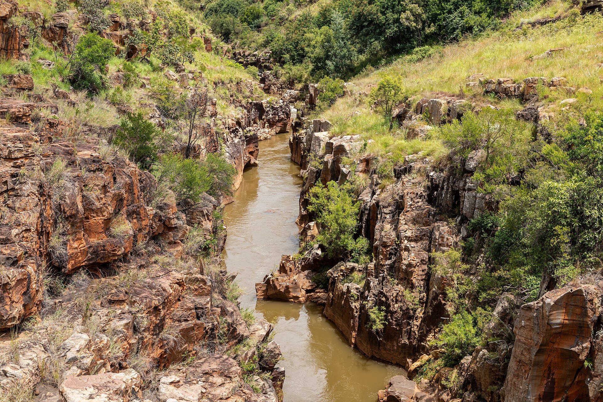 The Mpumalanga highveld escarpment — the land the Order crosses.