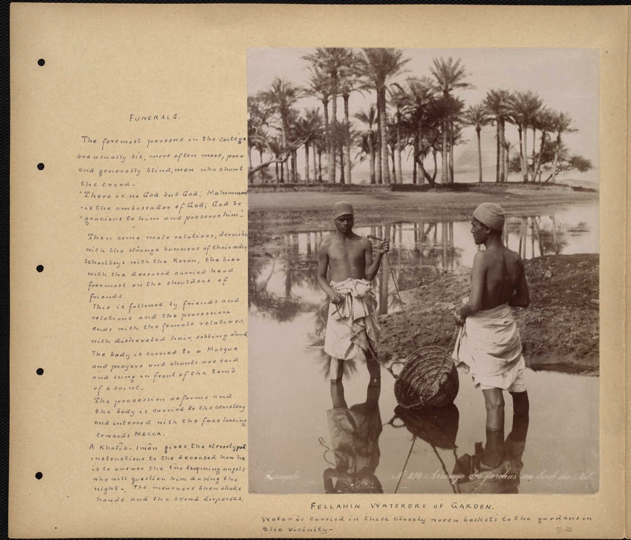 The fellahin — the living Nile.