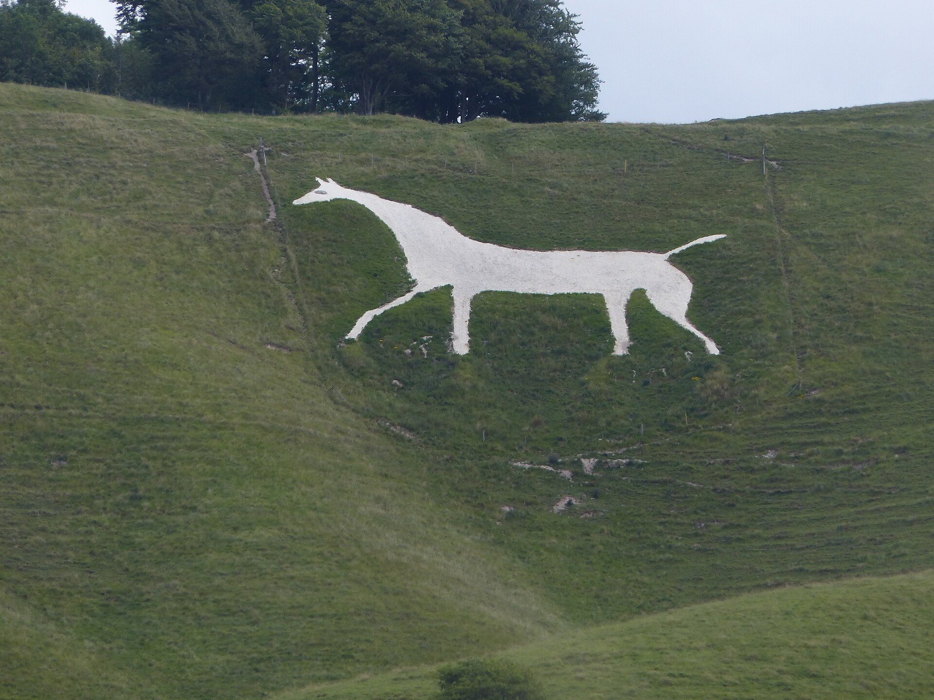 A Wiltshire chalk hill-figure — the land already written on by hand.
