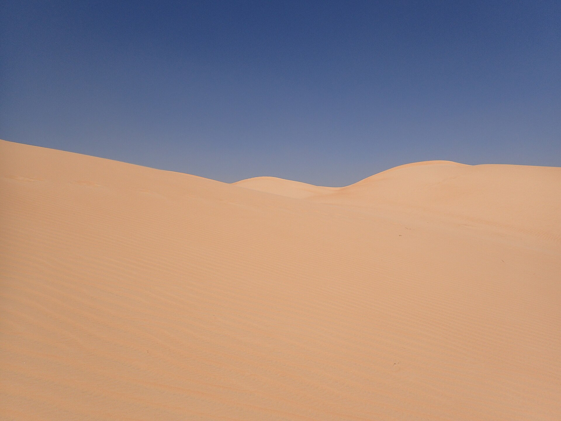 The deep Sahara — the real desert behind the paperback's romance.