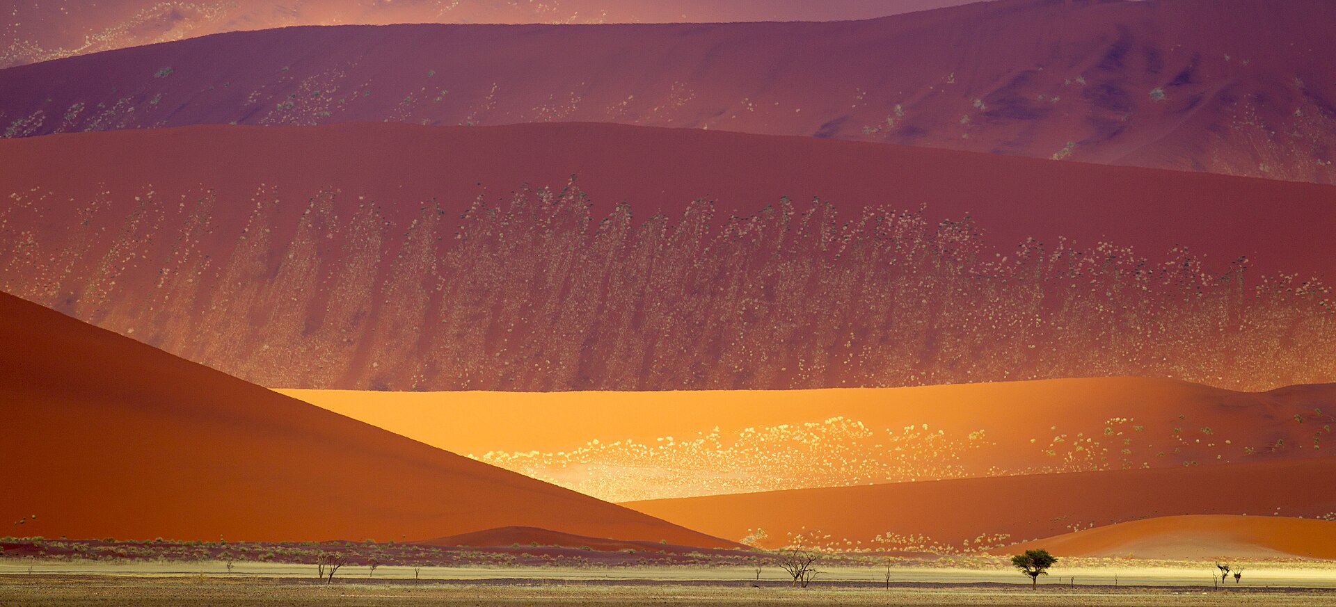 The Namib dunes — the oldest desert on Earth, the sheltering and the killing one.