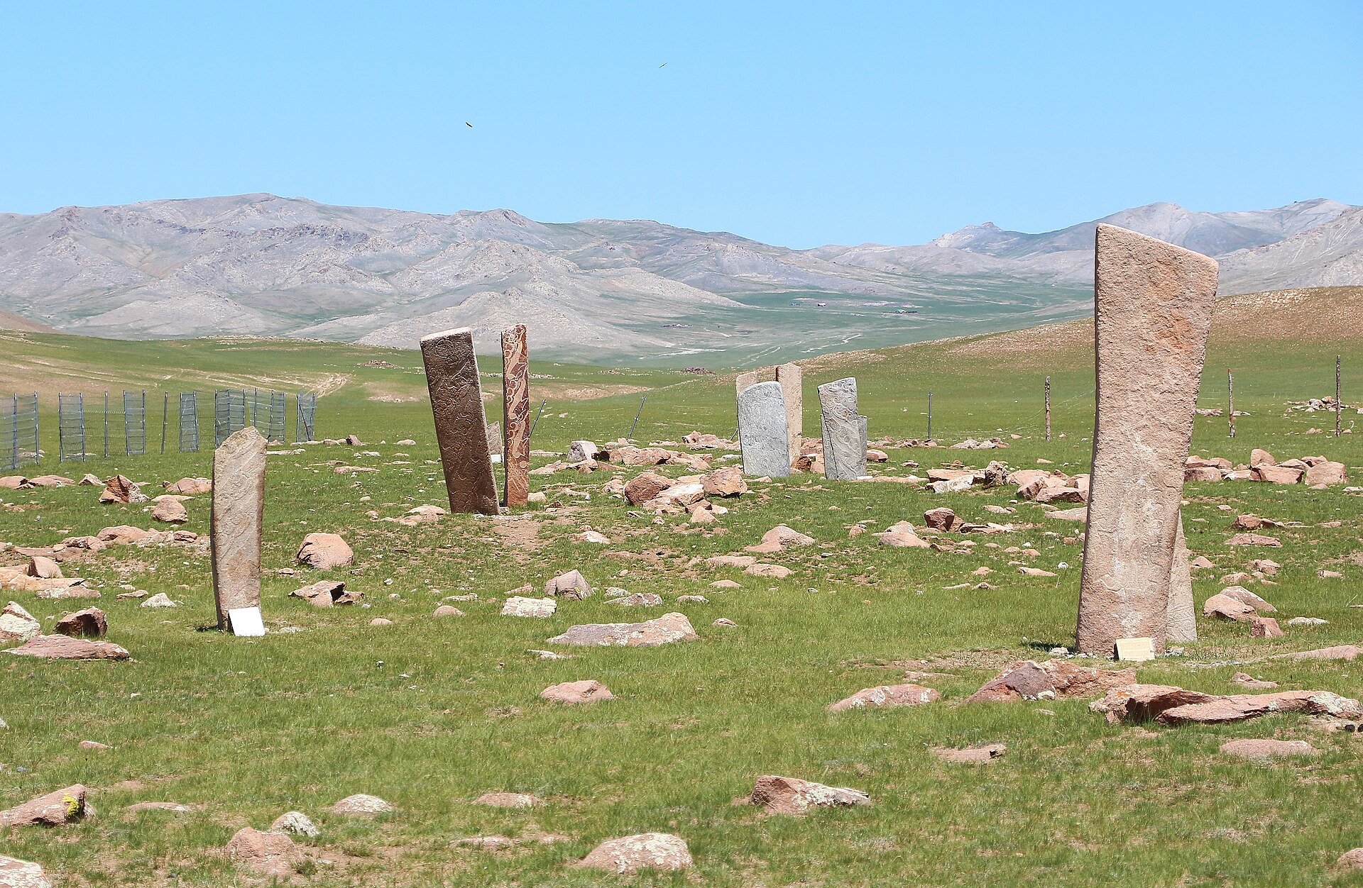 Deer stones — Bronze Age standing stones carved across the steppe.
