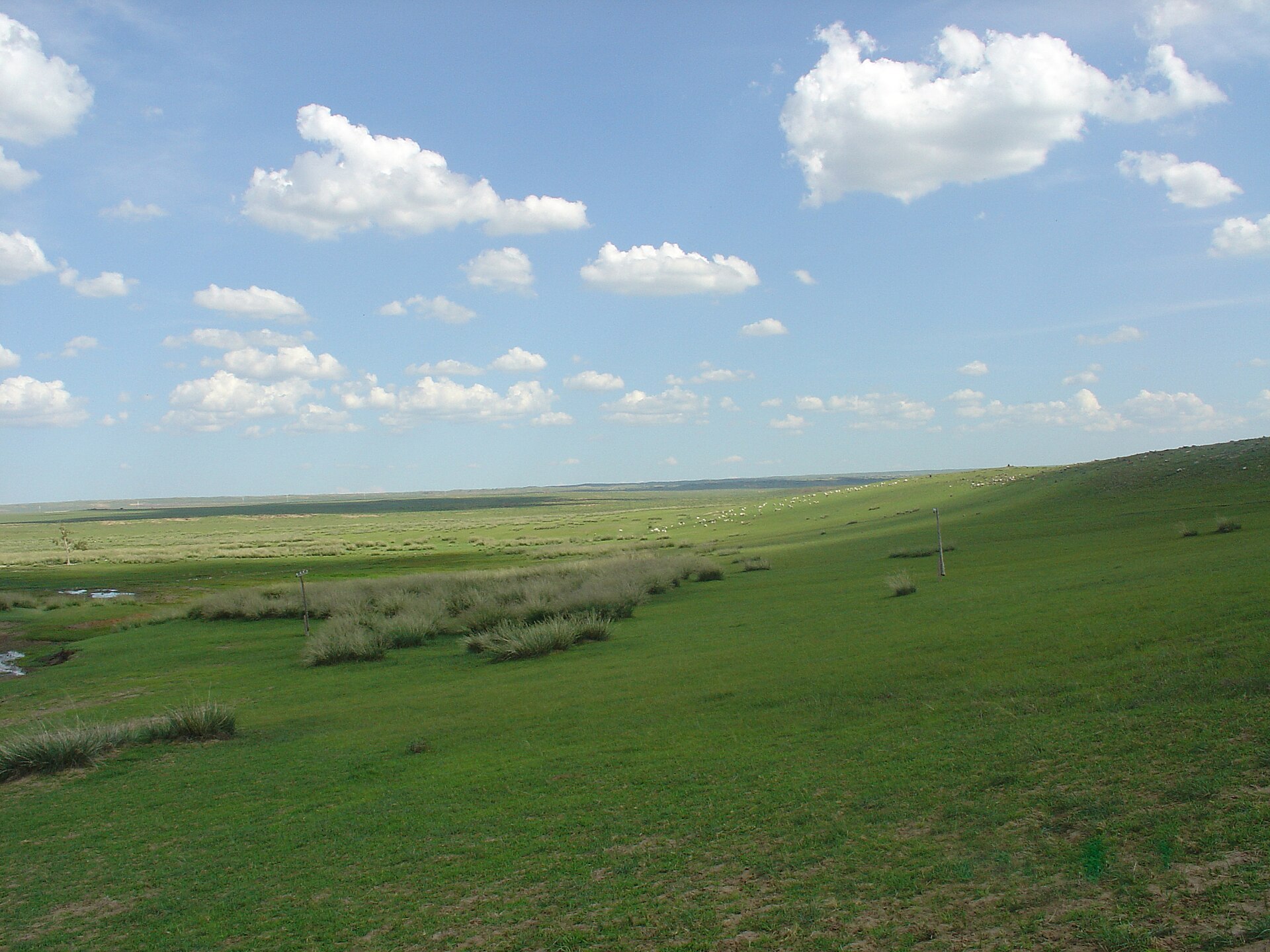 The open steppe — land that reads as empty and is the most precisely known ground they walk.