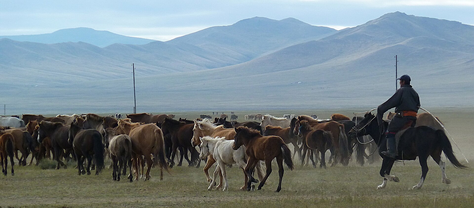 A horseman on the steppe — horses the cultural backbone of the five snouts.